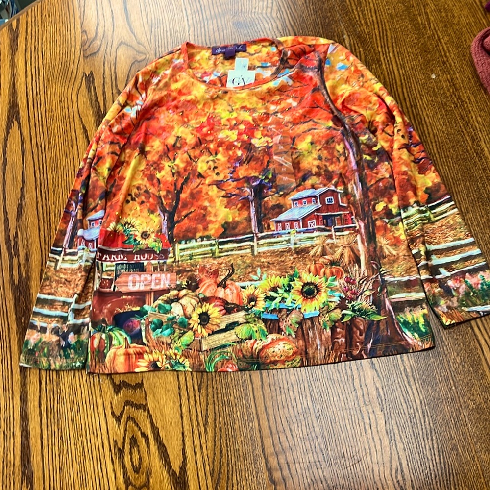 NWT Gloria Vanderbilt stretch Halloween “Farm  Stand” long sleeve shirt Sz M